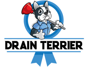 Drain Terrier