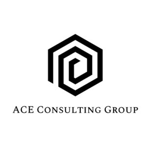 ACE Consulting Group