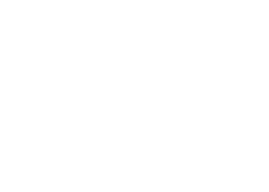 Bear Brothers Roofing