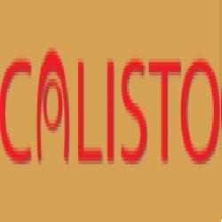 Calisto Corporation