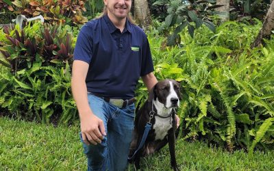 Bark Busters Home Dog Training Gainesville-Ocala