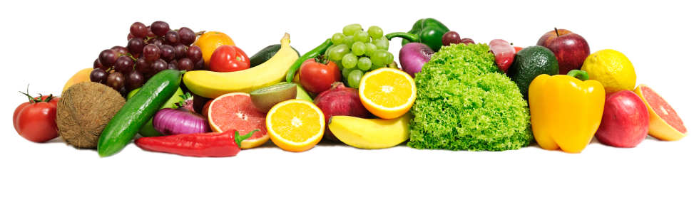 Healthy Lifestyle Coaching