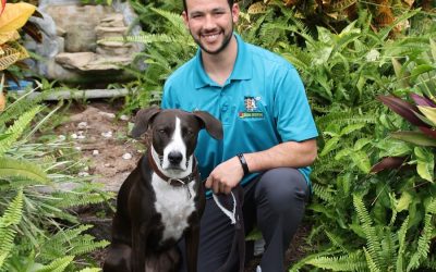 Bark Busters Home Dog Training Santa Clara County West