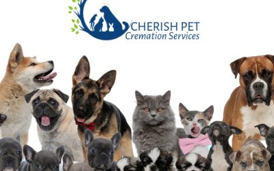 Cherish Pet Cremations