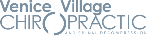 Venice Village Chiropractic Clinic