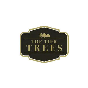 Top Tier Trees
