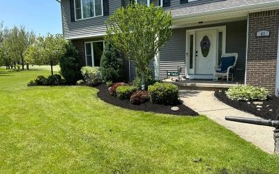 Diamond Landscape & Design LLC