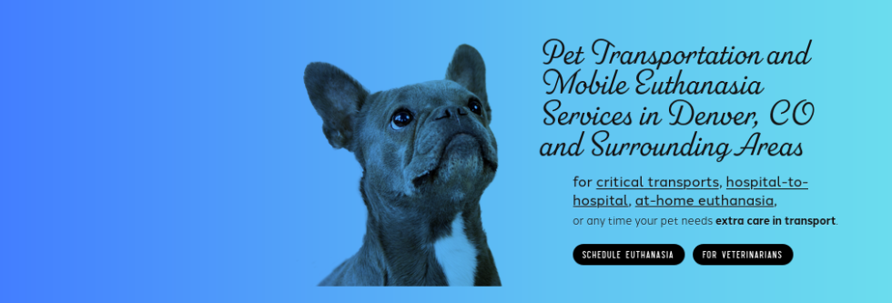 Pet Medical Transport